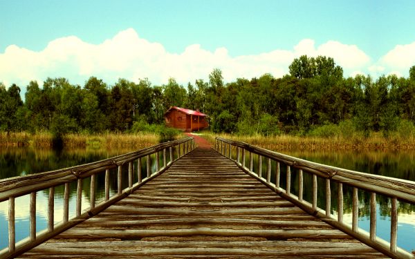 Creation of Forest Cabin: Final Result